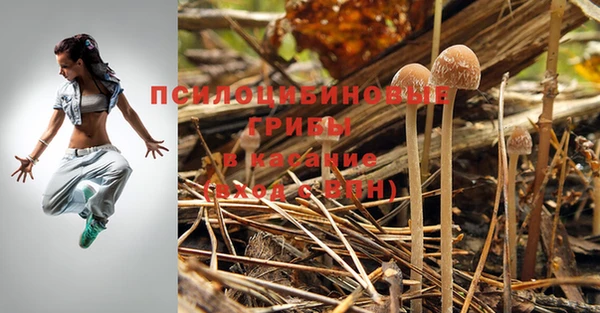 прущая мука Пересвет