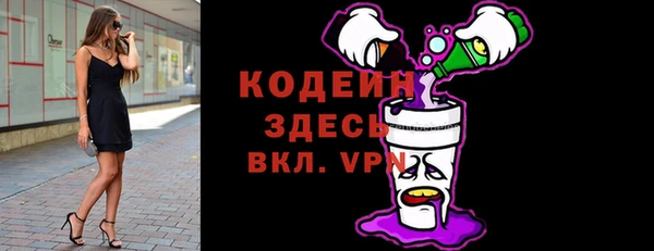 дживик Переславль-Залесский