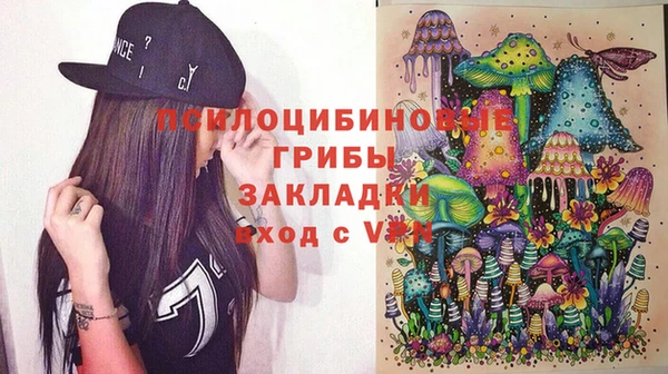 дживик Переславль-Залесский