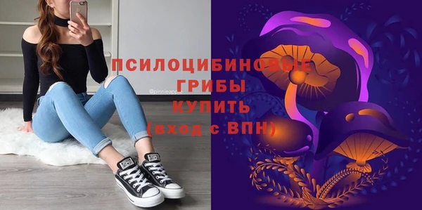 прущая мука Пересвет