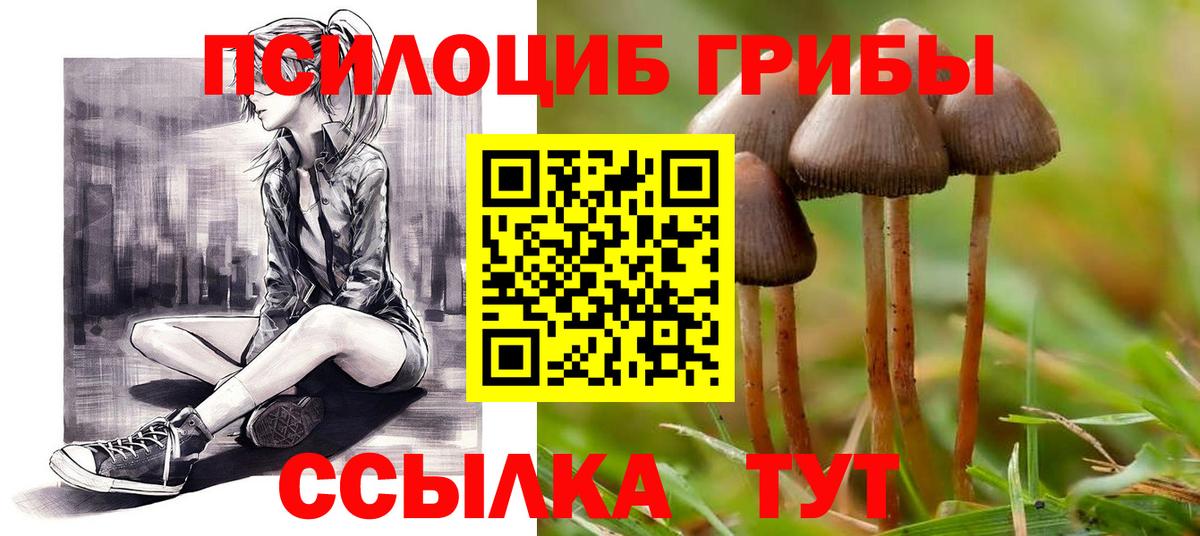 Псилоцибиновые грибы Magic Shrooms Аша