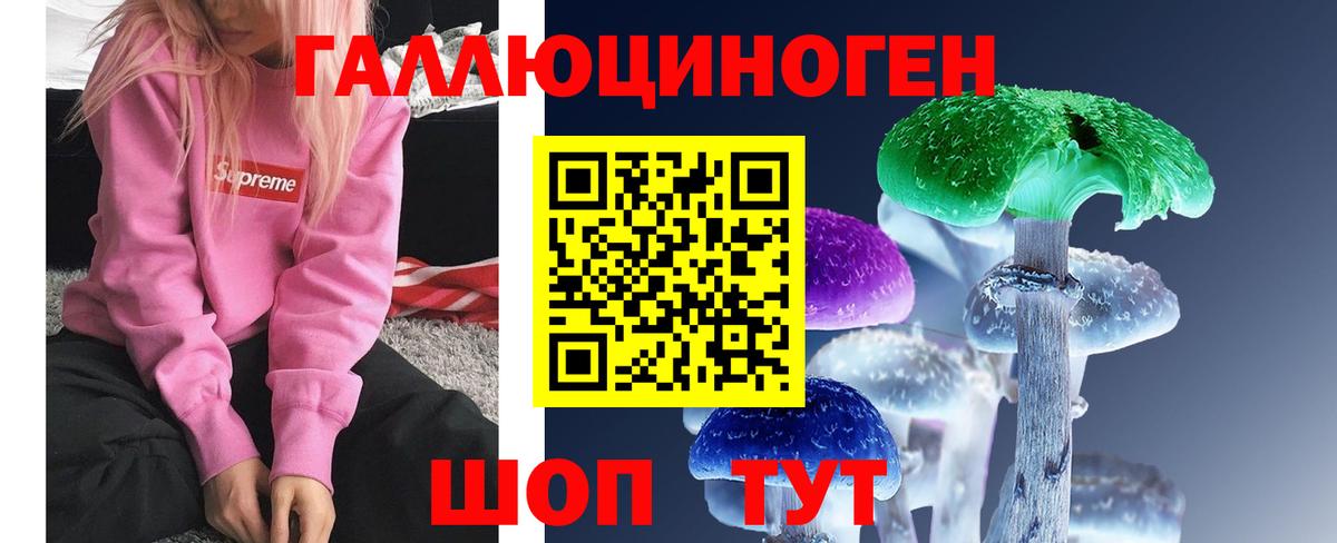 Аша  Галлюциногенные грибы мухоморы  Вход с VPN 