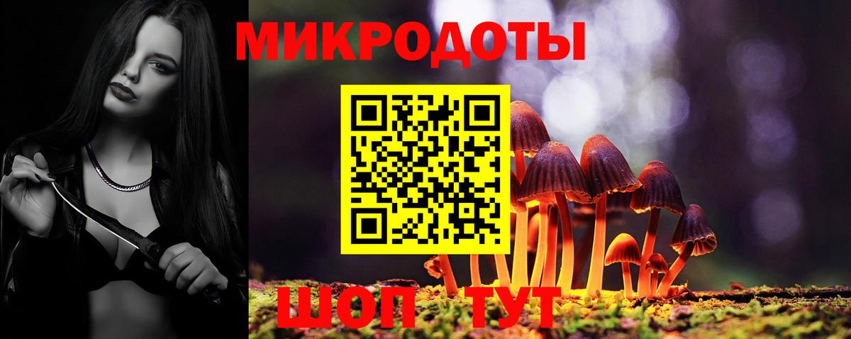 Псилоцибиновые грибы Psilocybe  Аша 
