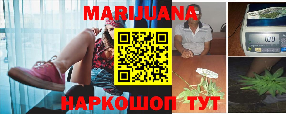 Конопля сатива Аша